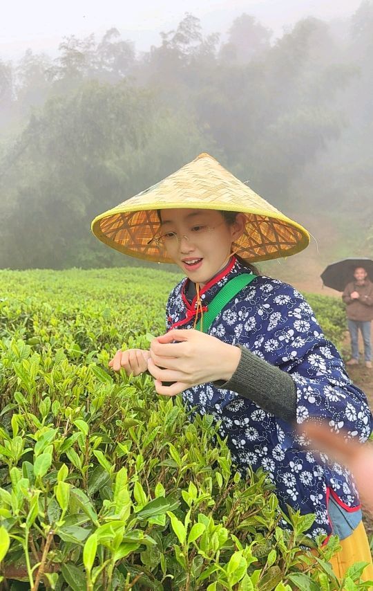 BJL平台老白茶值钱 - BJL168 · BJL平台集团 · BJL贵宾厅集团 | BJL综合服务平台